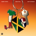 Album Born To Love Ya (Extended Mix)