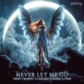 Album Never Let Me Go (Extended Mix)