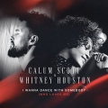 Album I Wanna Dance With Somebody (Who Loves Me)  - Single
