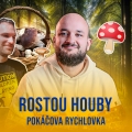 Album Rostou houby (Pokáčova Rychlovka)