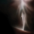 Album Kora