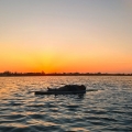 Album The Sun Comes Up Tremendous - Single