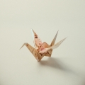 Album ORIGAMI!