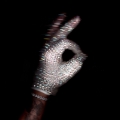 Album Iceman