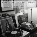 Album Catch A Falling Star