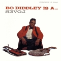 Album Bo Diddley Is A ... Lover
