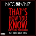Album That's How You Know (feat. Kid Ink & Bebe Rexha) [HEYHEY Remixes