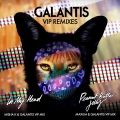 Album VIP Remixes