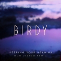 Album Keeping Your Head Up (Don Diablo Remix) [Radio Edit]