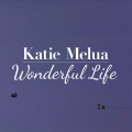 Album Wonderful Life