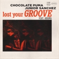 Album Lost Your Groove (feat. Arama) (Original Mix)