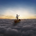 Album The Endless River (Deluxe)