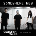 Album Somewhere New (feat. Elizabeth Tan)