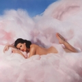 Album Teenage Dream