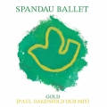 Album Gold [Paul Oakenfold Dub Mix]