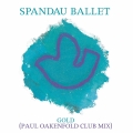 Album Gold [Paul Oakenfold Club Mix]