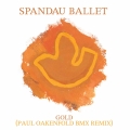 Album Gold [Paul Oakenfold BMX Remix] (Paul Oakenfold BMX Remix)