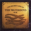 Album The Secret Life Of The Waterboys '81-'85