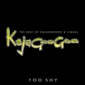 Album Too Shy: The Best Of Kajagoogoo & Limahl