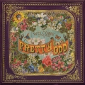 Album Pretty. Odd.