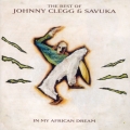 Album The Best Of Johnny Clegg & Savuka - In My African Dream