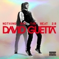 Album Nothing but the Beat 2.0