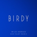 Album Wild Horses (Sam Feldt Remix)