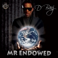 Album Mr.Endowed