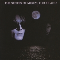 Album Floodland