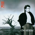 Album The Riddle