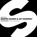 Album Wizard (The Remixes)