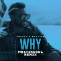 Album Why (Mastiksoul Remix)