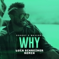 Album Why (Luca Schreiner Remix)