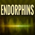 Album Endorphins