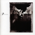 Album Surfer Rosa