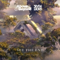 Album See The End - Single