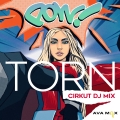 Album Torn (Cirkut DJ Mix)