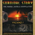 Album Survival Story - The Ragga Jungle Compilation