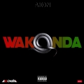 Album Wakonda