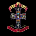 Album Appetite For Destruction