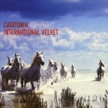 Album International Velvet