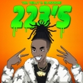 Album 223's (feat. 9lokknine)