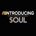 Album Soul (Introducing)