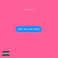 Album Why Are You Here - Single