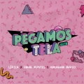 Album Pegamos Tela