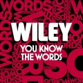 Album You Know The Words - Single