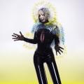 Album Vulnicura