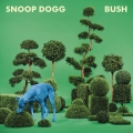 Album Bush