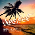 Album Show Me Love - Single