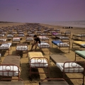 Album A Momentary Lapse Of Reason